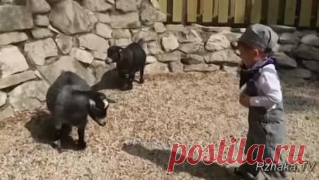 ПОПРОБУЙ НЕ ЗАСМЕЯТЬСЯ