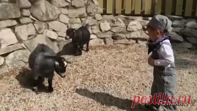 ПОПРОБУЙ НЕ ЗАСМЕЯТЬСЯ