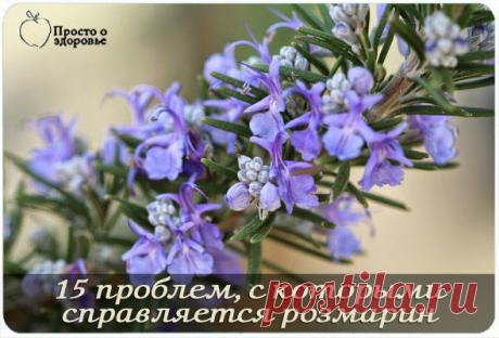 польза РОЗМАРИНА
