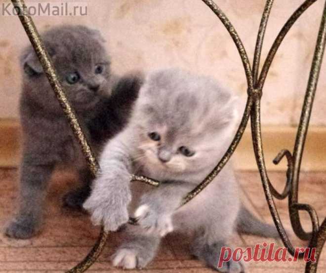 Не абы как!