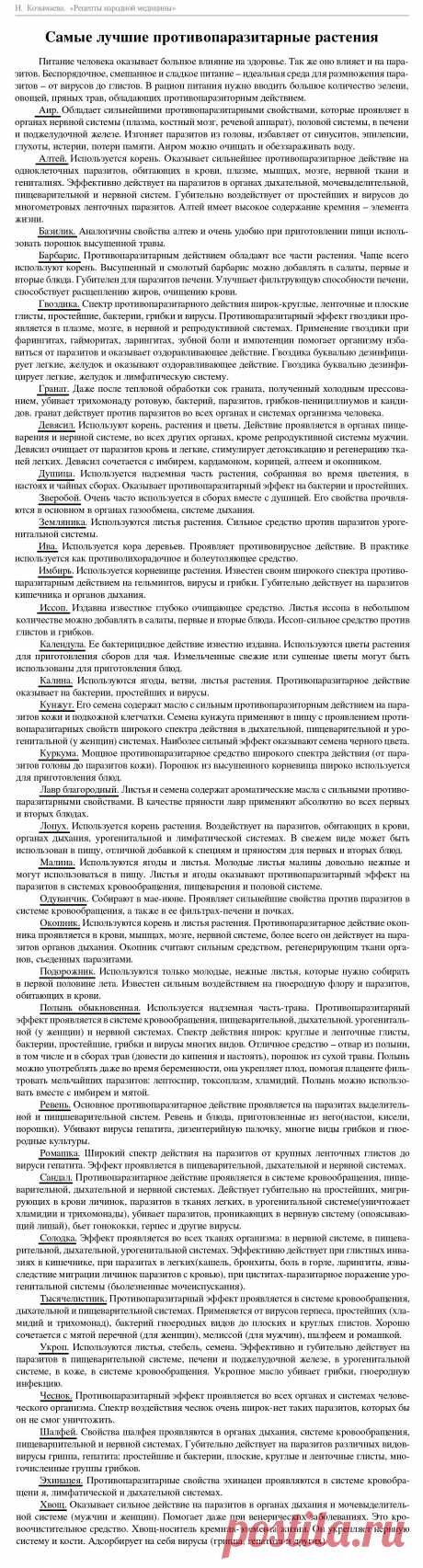 Самые лучшие противопаразитарные растения