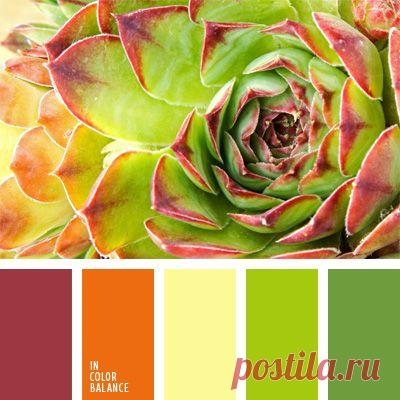 сочетание цветов