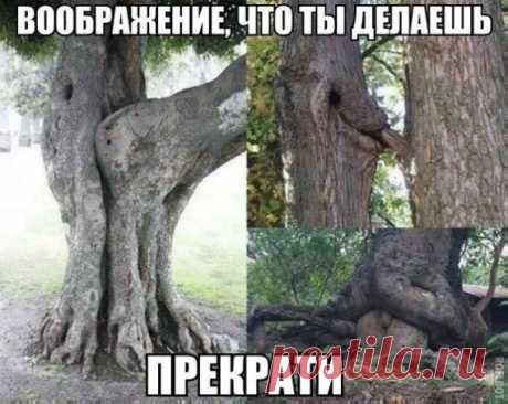 Только лучшее - Группы Мой Мир