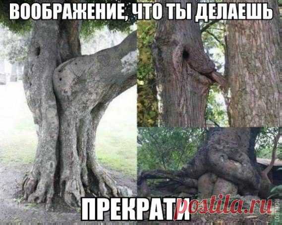 Только лучшее - Группы Мой Мир