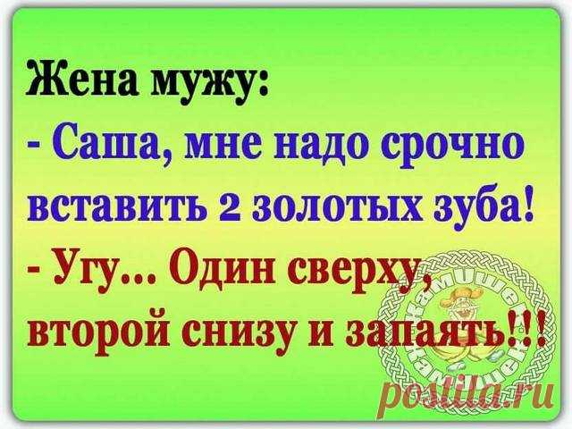 -Отрок Иннокентий! Ответствуй, отделима ли душа от тела?.. 
Парень пишет девушке в аське: - Как твой попугайчик поживает?- Нормально! А что ты хотел?- Погода хорошая. Чем в выходные занималась?- На даче с родителями была. А что ты хотел?- Понимаешь, если бы я…
