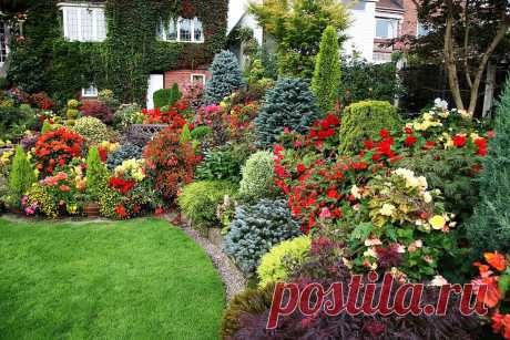 Продумываем миксбордер по шагам. Фото — Ботаничка