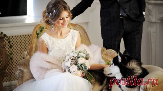 Как сыграть свадьбу зимой? Советы от Анастасии Галеевой | Мужчина и женщина