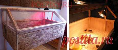 Брудер для бройлеров цыплят своими руками