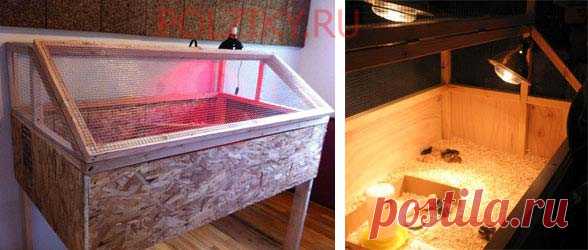Брудер для бройлеров цыплят своими руками