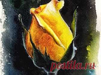 Бутон розы в технике акварель Доброго времени суток, дорогие друзья!Данный мастер-класс, а точнее этап рисования с описанием – это маленький рисунок-подарок или, как вариант, элемент декорирования открытки ручной работы.