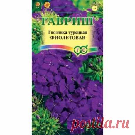 Гвоздика турецкая Фиолетовая 0,2 г Н12 - Семена69.рф