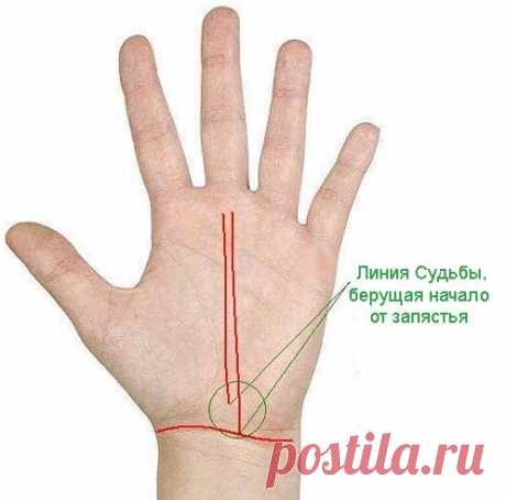 5 важных знаков удачи и успешности у вас на ладони: а у вас они есть?