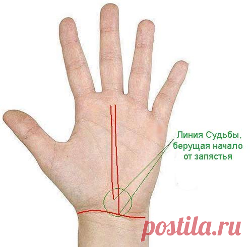 5 важных знаков удачи и успешности у вас на ладони: а у вас они есть?