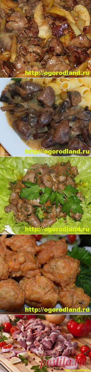 Как приготовить куриные сердечки. Топ 8 вкусных рецептов