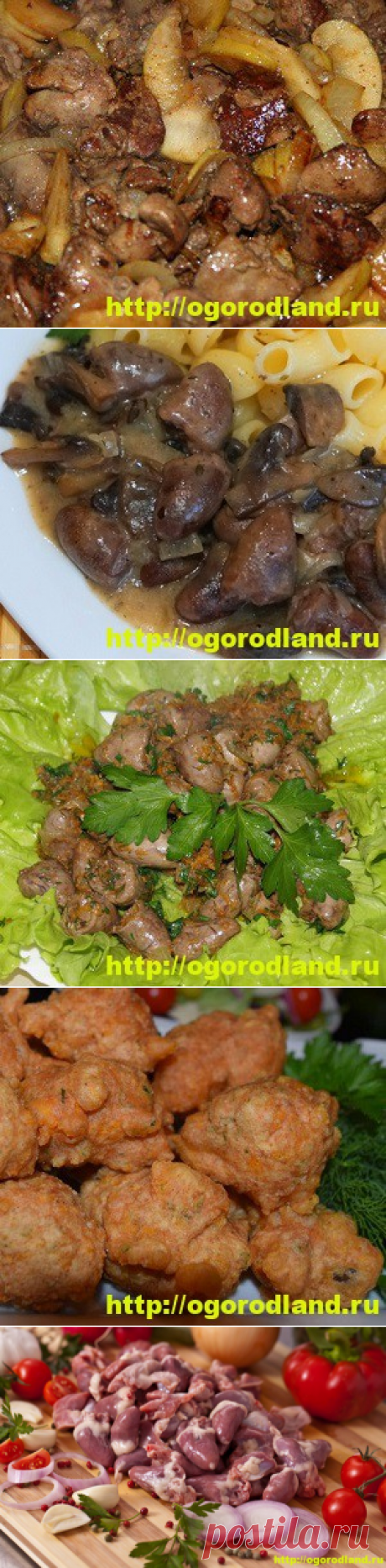 Как приготовить куриные сердечки. Топ 8 вкусных рецептов