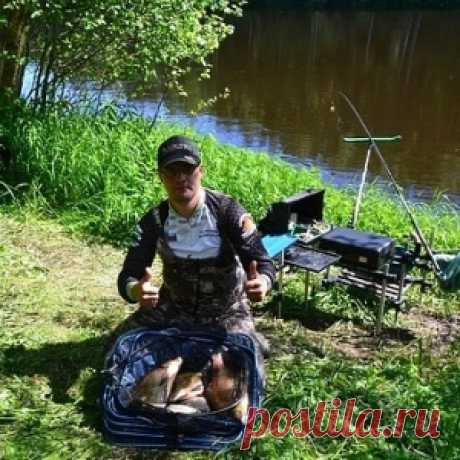 Тайна лова дикого крупного леща вдали от городов - МирТесен