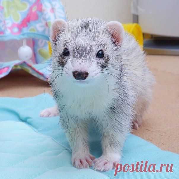 Новости