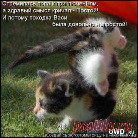 Выдающийся гимнаст