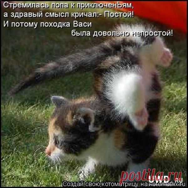 Выдающийся гимнаст