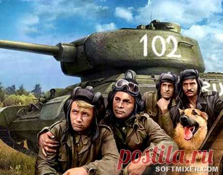 Три поляка, грузин и собака…