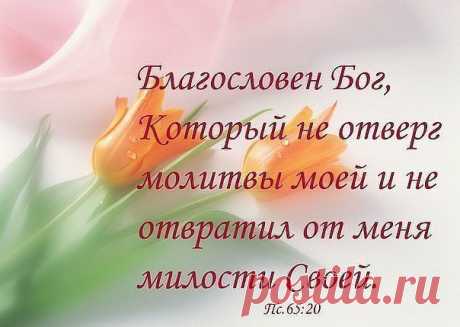 Мой Мир@Mail.Ru