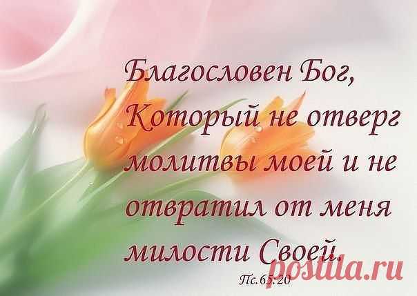 Мой Мир@Mail.Ru