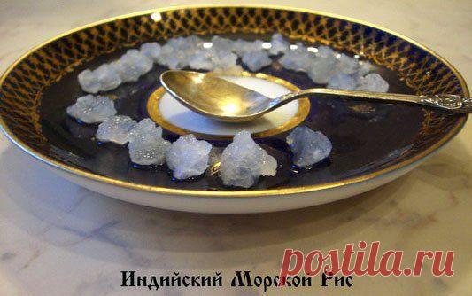 Индийский рисовый гриб.