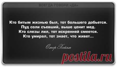 (4) Одноклассники