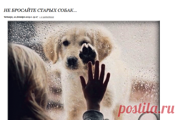 Не бросайте старых собак...