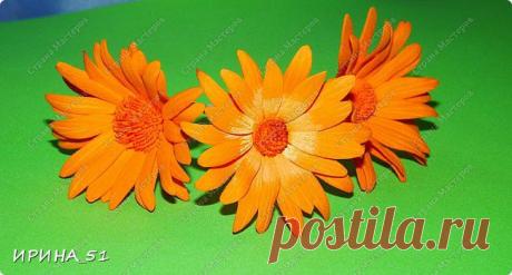 МК "Календула из фоамирана". | Подружки