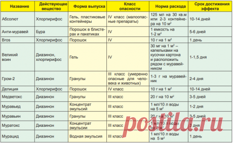 Чем убить садового муравья