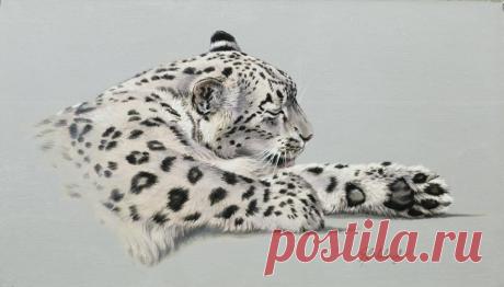 Кошачьи портреты Гая Коэлича - Искусство животных Гая Коэлича