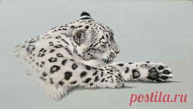 Кошачьи портреты Гая Коэлича - Искусство животных Гая Коэлича