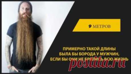 Интересные факты - Группы Мой Мир