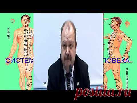 Восточная медицина (обучающее видео) ~ Видеоуроки онлайн смотреть, смотреть видео урок