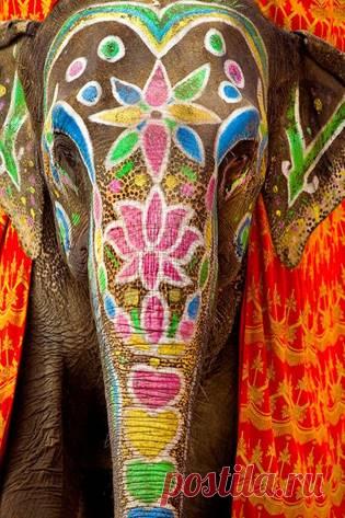 Сердечный покой – это редкий дар...