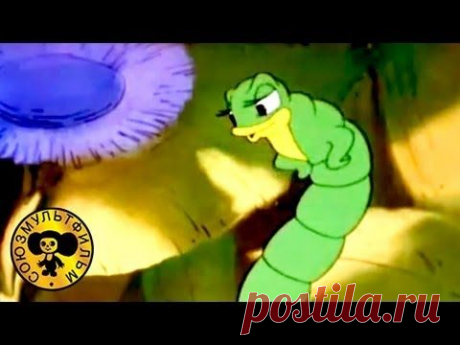 Мультики: Муравьишка - хвастунишка
