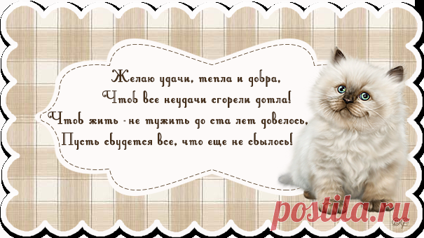 Комментики, пожелайки №5