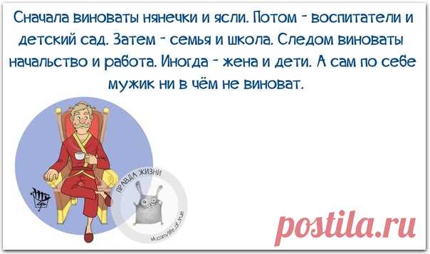 Веселая правда жизни в словах со смыслом