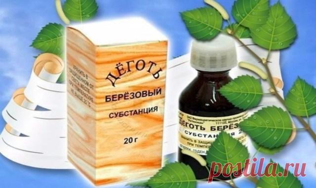 БЕРЕЗОВЫЙ ДЕГОТЬ ИЗГОНИТ ВСЕХ ВРЕДИТЕЛЕЙ С ОГОРОДА — Копилочка полезных советов