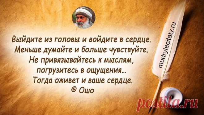На СЕГОДНЯ - в единстве - сила