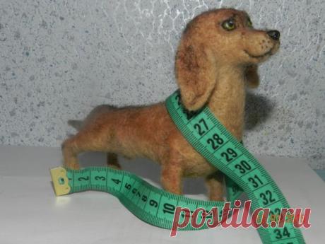 Такса / Валяние / Валяние. Работы пользователей.