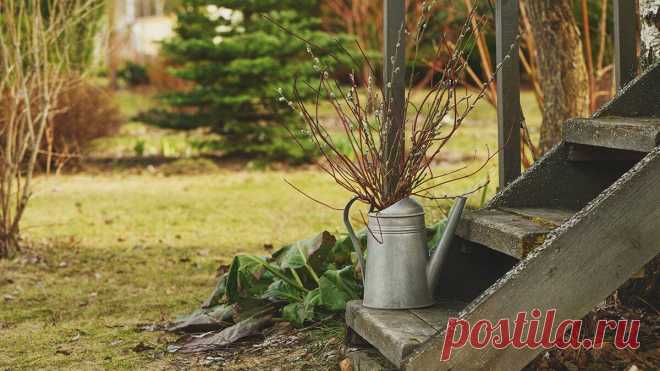 Правила безопасности: как утилизировать мусор на даче осенью и не получить штраф | Вечерняя Москва | Дзен