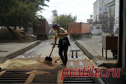 В Литве предложили альтернативный способ поставок украинского зерна. Еврокомиссии стоит рассмотреть возможность экспорта украинского зерна через порты Балтийского моря в качестве альтернативы зерновой сделке, заявил член Европарламента от Литвы Людас Мажилис. Такое предложение депутат высказал в своем обращении к Еврокомиссии, с текстом которого ознакомилась «Лента.ру».