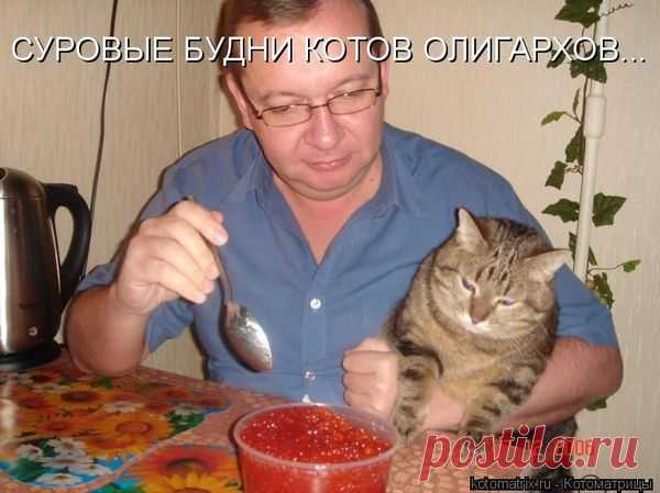 Мысли вслух...