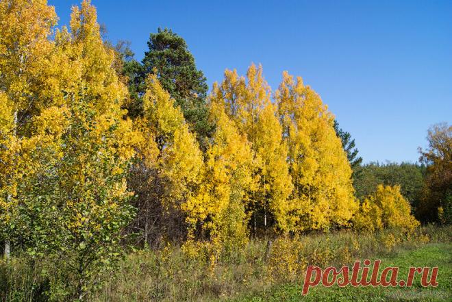 Из прекрасного лета в осеннее очарование!.