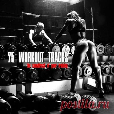 75 Workout Tracks (Mp3) Исполнитель: Various ArtistНазвание: 75 Workout TracksДата релиза: 2020Жанр: Dance, House, Trance, Deep House, Club, ElectronicКоличество композиций: 75Формат | Качество: MP3 | 320 kbpsПродолжительность: 07:59:13Размер: 1.13 Gb (+3%)TrackList:01. BR!GHT - Free Way (Dub Mix) 4:1602. Thomas Weise -