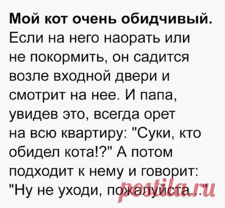 А ваш кот обидчивый?