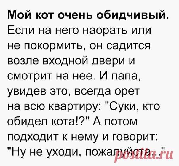 А ваш кот обидчивый?