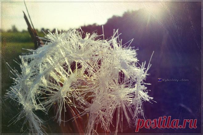 Одуванчик из ткани своими руками. Белый пушистый одуванчик. МК. - Ярмарка Мастеров - ручная работа, handmade